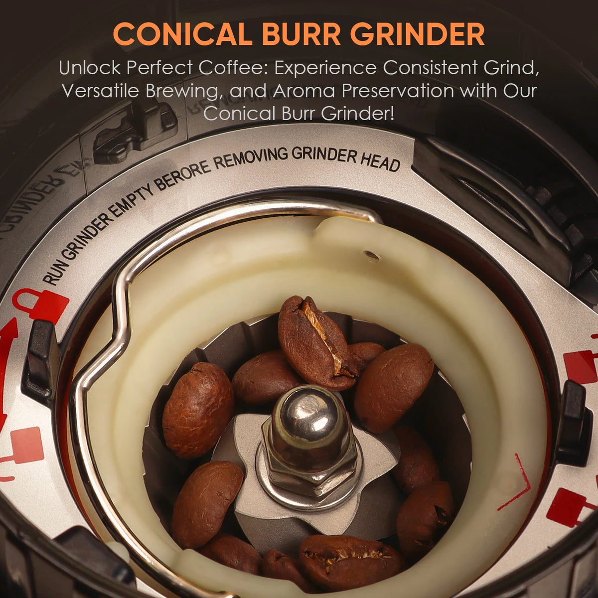 Biolomix Electric Conical Burr Coffee Grinder With 48 Settings